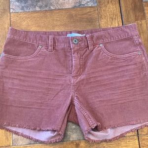 Carve Designs Size 6 Shorts NWOT’S